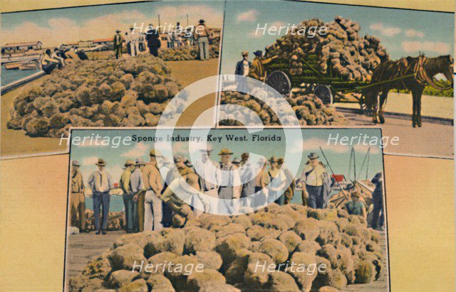 'Sponge Industry, Key West, Florida', c1940s. Artist: Unknown.
