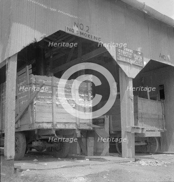 The cotton gin near Robstown, Texas, 1936. Creator: Dorothea Lange.