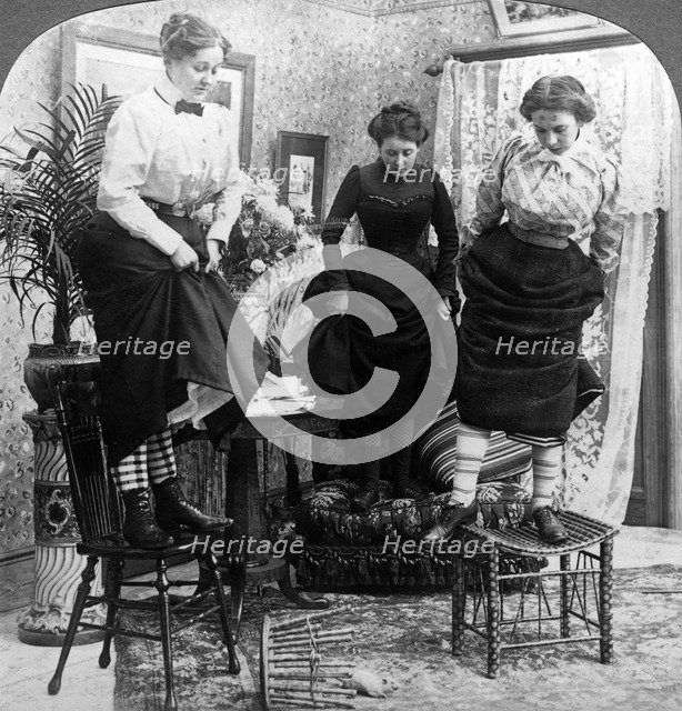 'Rats! Rats!! Rats!!!'.Artist: American Stereoscopic Company