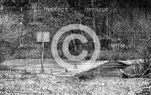 Obstruction on the River Mole, near Esher, 1890. Creator: Unknown.