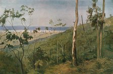 ''Une foret d'eucalyptus en Australie (Queensland); Les Terres Du Pacifique', 1914. Creator: Unknown.