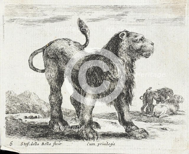 A Lion, 1641. Creator: Stefano della Bella.