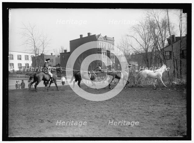 Society Circus, between 1910 and 1917. Creator: Harris & Ewing.