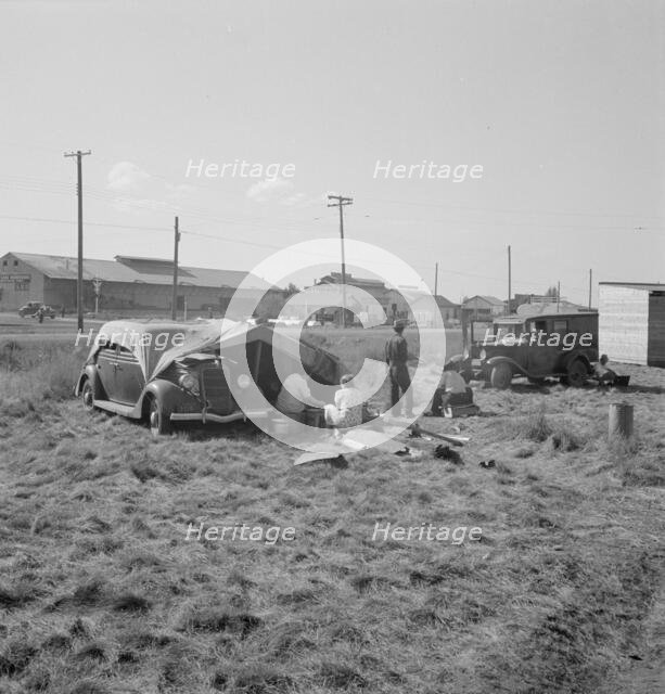 Living conditions for migrant potato pickers, Siskiyou County, California, 1939. Creator: Dorothea Lange.