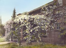 John Constantine Hillman house, 514 California Terrace, Pasadena, California, 1917. Creator: Frances Benjamin Johnston.