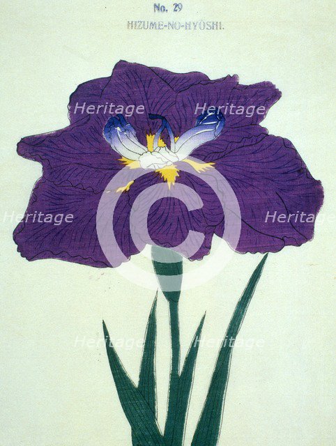 Hizume-No-Hyoshi, No 29.