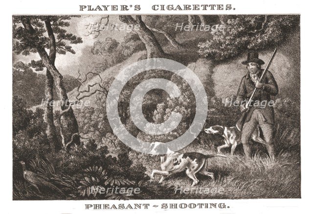 'Pheasant-Shooting', (1924). Creator: Unknown.