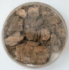 Papyri Fragments and Mud, Coptic, 7th century. Creator: Unknown.