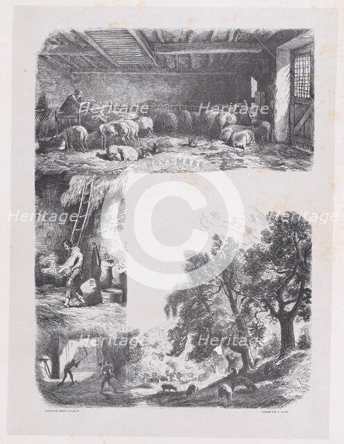 November from Album of Rustic Subjects, 1859. Creator: Jacques-Adrien Lavieille.