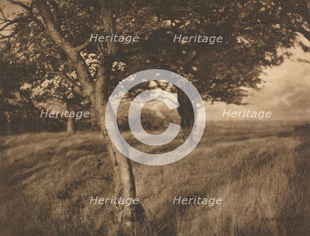 Camera Work: Beyond, 1905. Creator: A. Horsley Hinton (British, 1863-1908).