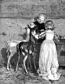 Pets of the House: A Christmas Feast, drawn by Percy Tarrant, 1883. Creator: Unknown.