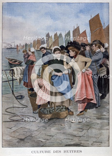 Oyster seller, 1902. Artist: Unknown