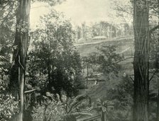 'Scene at Upper Gembrook, Victoria', 1901. Creator: Unknown.