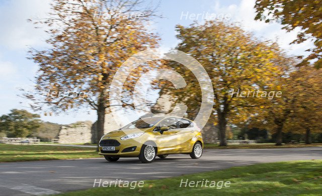 2013 Ford Fiesta Econetic Artist: Unknown.