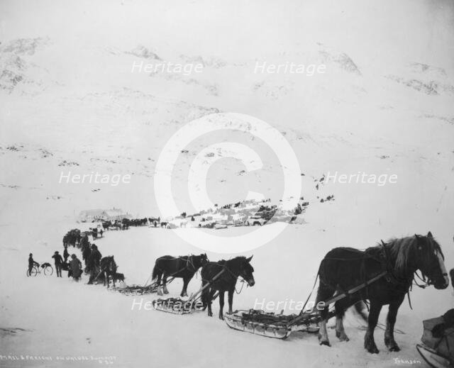 Transportation by horses, mules, dogs and bicycle, between c1900 and 1927. Creator: Unknown.