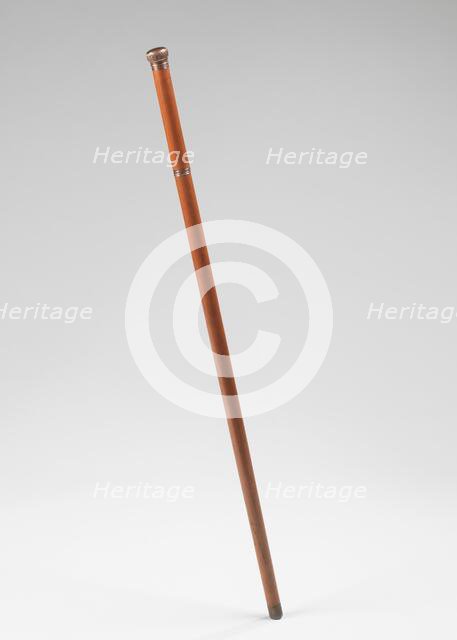 Cane, American, 1885. Creator: Unknown.