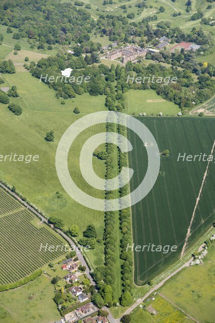 The Avenue at Cobham Hall Park, Cobham Park, Kent, 2018. Creator: Historic England.