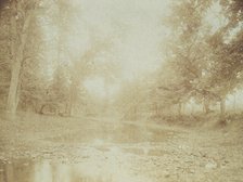 A riverbed in the woods, c1900. Creator: Mary A. Bartlett.