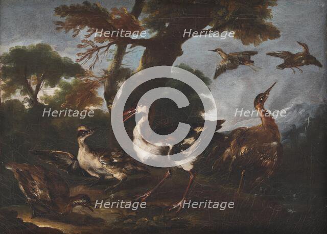 Landscape with Birds, 1665-1730. Creator: Angelo Maria Crivelli.