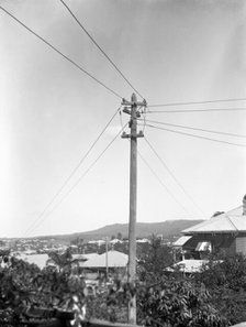 Early Brisbane power poles, c1900s. Creator: Robert Augustus Henry L'Estrange.