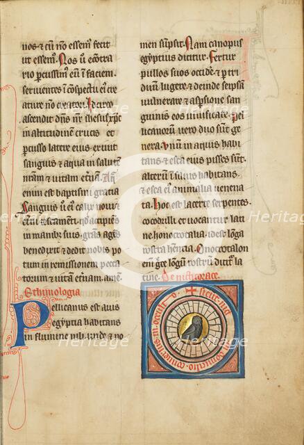 A Night Heron; De Natura Avium; De Pastoribus et Ovibus; Bestiarium, 1277 or after. Creator: Unknown.
