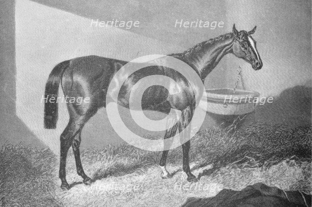 'Sir Tatton Sykes', 1842-1860, (1911). Artist: Unknown.