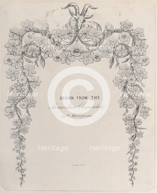 Design from the Momordica Charantia by P. Moorgesan, 19th century., 19th century. Creator: Anon.