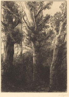 German Forest, Downley. Creator: Alphonse Legros.