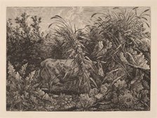 The Cow in the Swamp, 1800/1803. Creator: Carl Wilhelm Kolbe the elder.