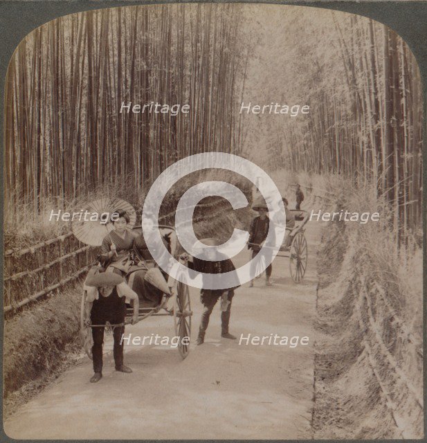 Under the bamboo trees - on the famous avenue near Kiyomizu, Kyoto, Japan, 1904. Artist: Unknown.