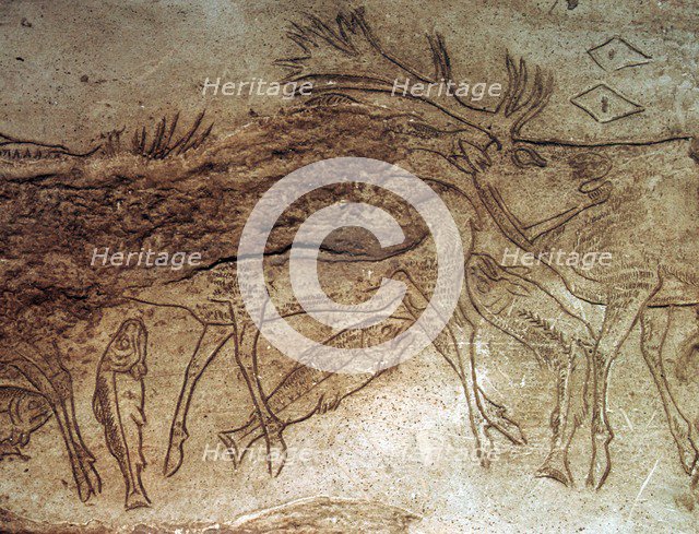 Paleolithic engraved bone with reindeer. Artist: Unknown