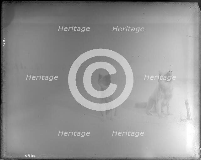 Northern Alaska Exploring Expedition, 1884-1886. Creator: Unknown.