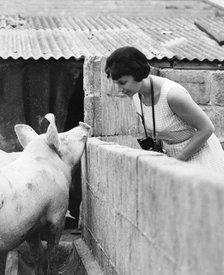 Woman and pig, 1960s.