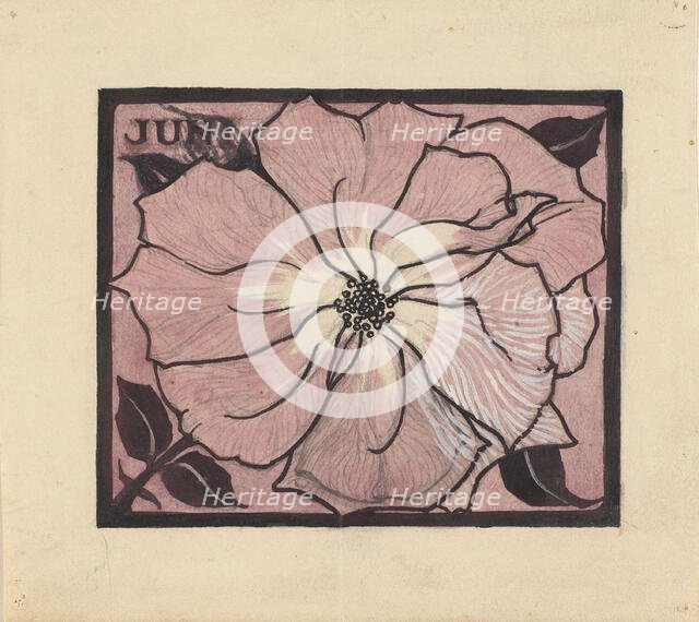 Flower, 1887-1924. Creator: Julie de Graag.