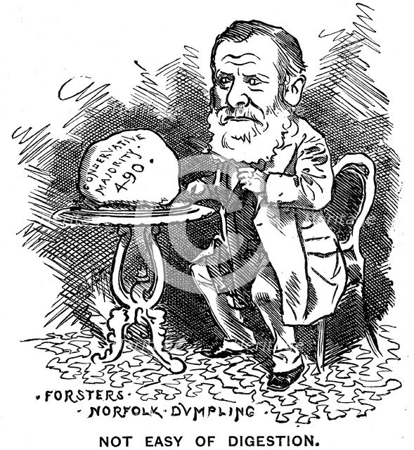 William Edward Forster, British Liberal politician, 1879. Artist: Unknown