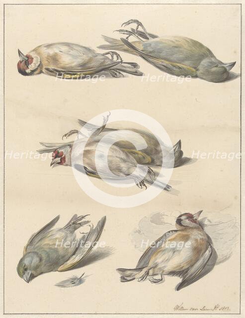 Six dead birds, 1803. Creator: Willem van Leen.