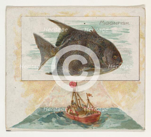 Moonfish, from Fish from American Waters series (N39) for Allen & Ginter Cigarettes, 1889. Creator: Allen & Ginter.