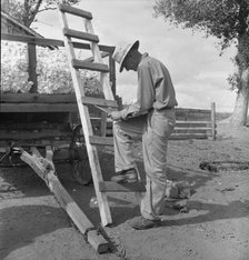 Small cotton farmer, Kern County, California, 1938. Creator: Dorothea Lange.