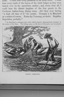 Netting terrapins, 1882. Creator: Unknown.