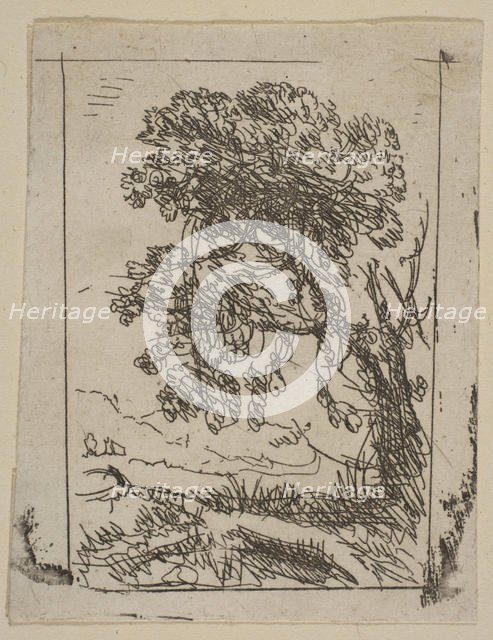 The Two Landscapes (Left Tree), ca. 1630. Creator: Claude Lorrain.