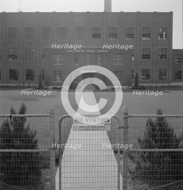 Entrance to Amalgamated Sugar Company factory at opening..., Nyssa, Malheur County, Oregon, 1939. Creator: Dorothea Lange.