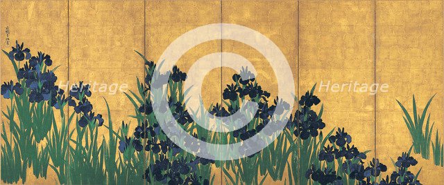 Irises, 18th century.