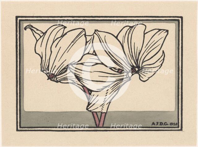 Cyclamen, 1920. Creator: Julie de Graag.