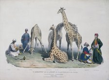 Zoological Gardens, Regent's Park, Marylebone, London, 1836. Artist: George Scharf