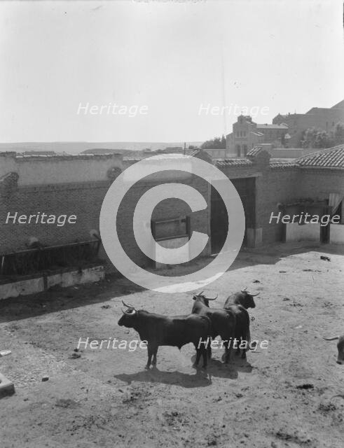 Travel views of Europe, between 1904 and 1938. Creator: Arnold Genthe.