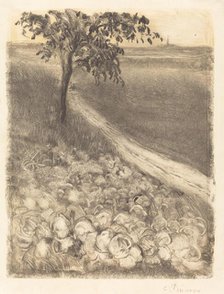 Road by a Field of Cabbages, c. 1880. Creator: Camille Pissarro.
