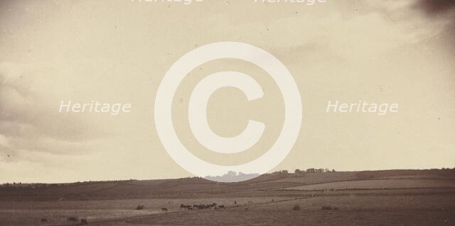 View of Fields with Cows, 1850s-1860s. Creator: Unknown.