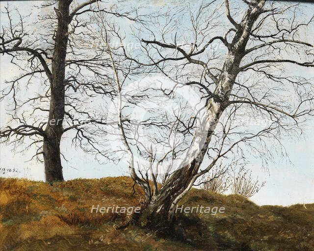 Oak and birch. Our.1832. Creator: Julius von Leypold.
