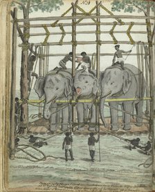 Taming an elephant, 1785. Creator: Jan Brandes.