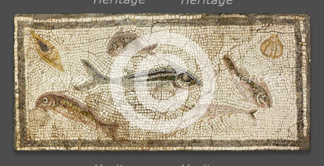 Mosaic Floor Panel Depicting Marine Life, 200-230. Creator: Unknown.